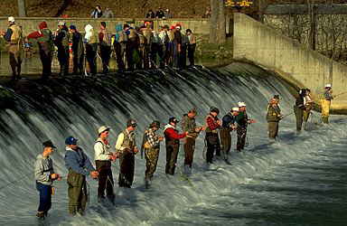Opening day at the dam, Bennett Spring State Park, Missouri